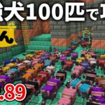 【マイクラ実況】最凶のトライアルチャンバーを犬軍団１００匹で攻略してみた結果【ウドンクラフト】#89