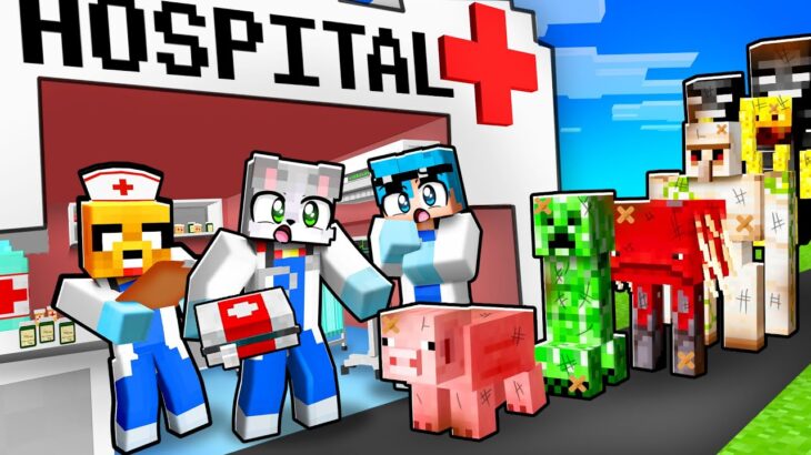 Abrí un HOSPITAL en Minecraft