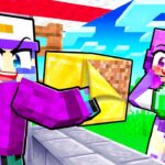 Dash is a SCAMMER in Minecraft!