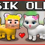 KEDİ EFEKAN AŞIK OLDU! 😍 – Minecraft