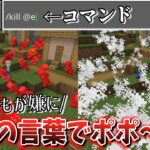 【マイクラ】何もかもが嫌になった時、魔法の言葉でポポポポ～ン♪🪄︎︎✨【Minecraft】