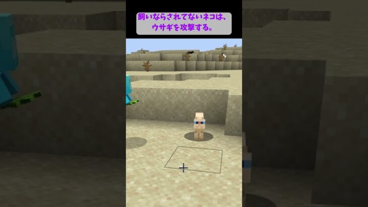 飼いならされてないネコ【Minecraft Java版】 #shorts #マイクラ #ネコ #ウサギ #minecraft