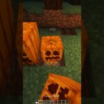 Minecraft Mini Pumpkin 😱 はいよろこんで #shorts