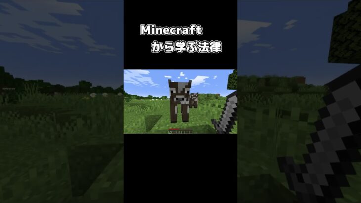 Minecraftから学ぶ法律 Part2 #shorts #マイクラ #雑学