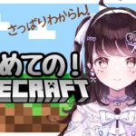 【マイクラ】はじめてのマインクラフト！ドットの世界で建築建築ぅ～！【推手みゅ/アイドルオタクVtuber】