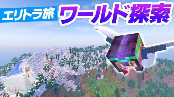 洋館周辺バイオームをエリトラで探索！空の旅で新しい発見！【マイクラ / マインクラフト / minecraft】97