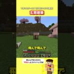 玄関建築【マイクラ】#shorts