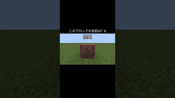 【マイクラ】このブロックの名前は？　#shorts