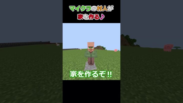 マイクラの村人が家を作る♪ #マイクラ #コマンド #shorts