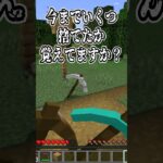 捨てたツールのこと覚えてますか？【マイクラ】#shorts #マイクラ #自作mod