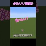 【マイクラ】１日１コかわいい建築！　#shorts #short