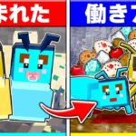 働きアリに生まれた子ども達が生まれてから死ぬまで✨【まいくら/マインクラフト】