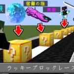 チートアイテムが出る世界でラッキーブロックレースしてみた！【マイクラ】【マインクラフト】