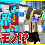 偽物の子供に家族を奪われてしまうマインクラフト！？アイツは誰…【まいくら/マインクラフト】