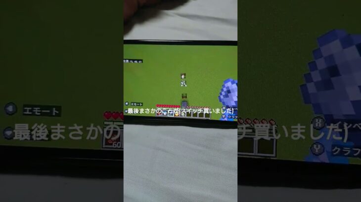 うれしすぎて…メイスで色々するやつ #マイクラ #伸びろ