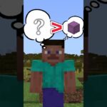 【アドオン紹介】ポケットにもっと余裕が欲しいから！【統合版マイクラ】