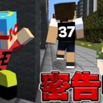 背中の数字を絶対に見られてはいけない【マインクラフト】【カラフルピーチ×ぷちひな×たま】