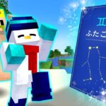 星座が使える世界でエンドラ討伐！【マイクラ】