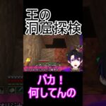 【マイクラ切り抜き】王の洞窟探検 #vtuber #ずんだもん#新人vtuber #マイクラ#shorts #short