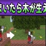【建築系コマンド紹介#02】木を生やす【マイクラ,マインクラフト,Minecraft】【1.21】