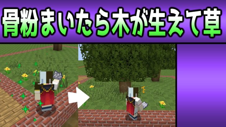 【建築系コマンド紹介#02】木を生やす【マイクラ,マインクラフト,Minecraft】【1.21】
