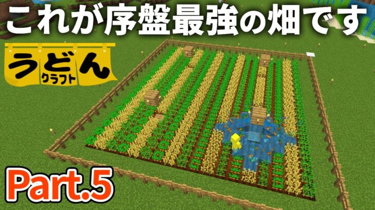 【マイクラ実況】とある工夫を施して最速で成長する畑を作り 早々に食糧問題が解決【ウドンクラフト】#05