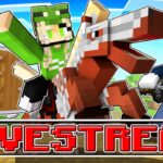 🔴 1. MINECRAFT HELDEN STREAM 🔥