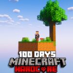 100 Days of Skyblock Infinite in Minecraft Hardcore