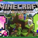 【#マインクラフト】マイクラ初心者の冒険：参加型～素材を探しながらいろいろ挑戦～ #10【#vtuber /#ひなあられch】