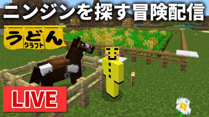 🔴【マイクラ裏作業】ニンジンと、あればトウヒを求めて冒険をする配信【ウドンクラフト2】