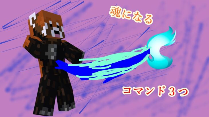 【コマンド3個】魂になる方法！！
