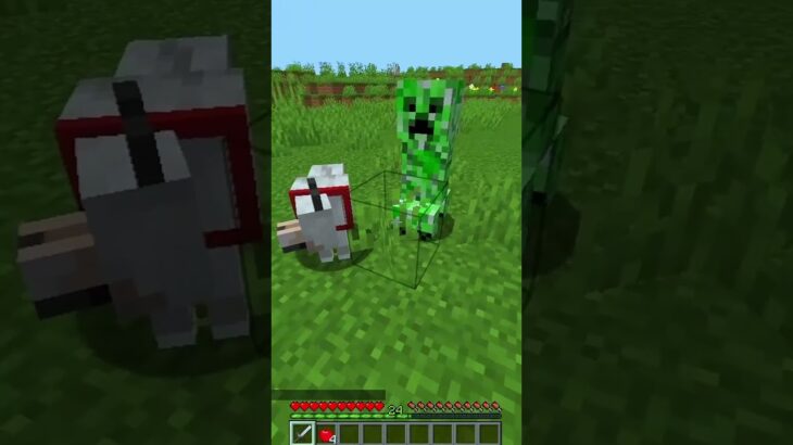 Creeper try to kill my Dog 🤷‍♂️ #minecraft #マイクラ #shorts