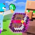 Finding The Perfect Villager… (Minecraft Infinite)