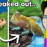 I Killed My Friends Minecraft Walking Fish, So I Got One in Real Life