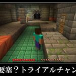 【衝撃】マイクラの超激レアシード値５選【JAVA版】