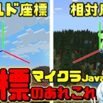 マイクラにおける座標について解説【マイクラJava】【コマンド解説】