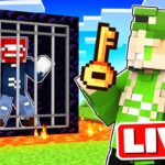 🔥MINECRAFT HELDEN STREAM 🔥MIT BENSON