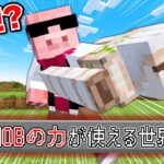 【マイクラ】MOBの力が使える世界でエンドラ討伐！