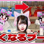 日付が進むほど呪われていく学校のプール…【マイクラ / マインクラフト / Minecraft】【たまちゃん】