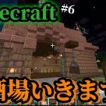 魔法都市造ります【Minecraft】