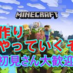 【マインクラフト】家を作るぞ【Minecraft】【マイクラ】