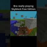 Minecraft Skyblock Free Edition