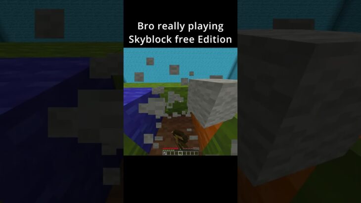 Minecraft Skyblock Free Edition