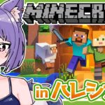 カスタムを振り返りつつ家の内装作り&ネザー資材集め！『#Minecraft -#マインクラフト-』inハレシカ鯖 #12