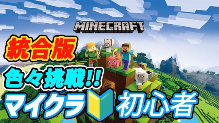 【Minecraft】マイクラ初心者🔰駅ビル建築していくか氷削りに行くか悩み中♪仲間がINしてるのでとりあえず合流ｗ【マイクラ】