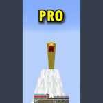 NOOB vs PRO vs DD マインクラフトパルクールチャレンジ #マイクラ #Minecraft #ニート部