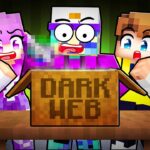 Never Go on the Dark Web in Minecraft…