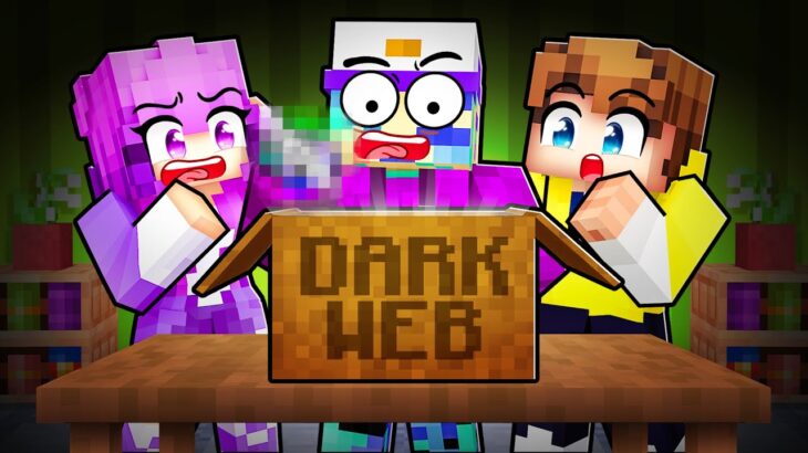 Never Go on the Dark Web in Minecraft…