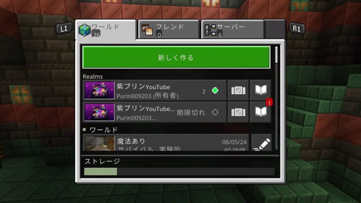 [PS5][初見歓迎]　マイクラ　魔法ありでやってみよう