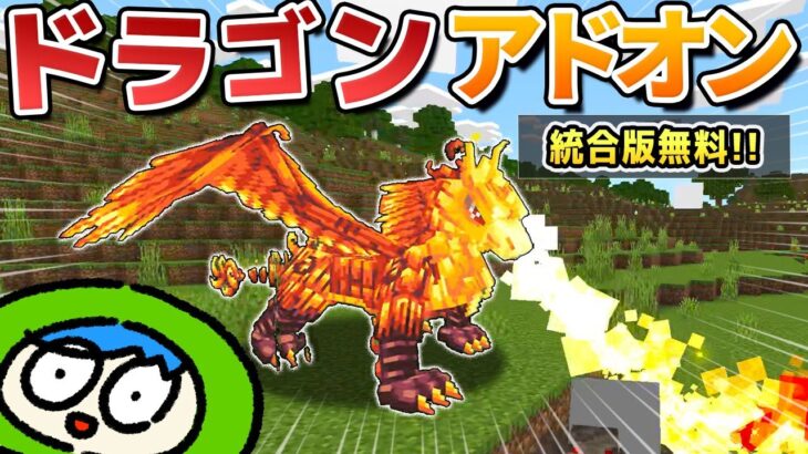 【Switch無料】ドラゴンを育てて強化できるアドオンが色々面白いぞ！！【統合版】